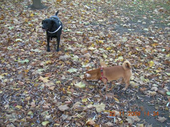 molly et un pote